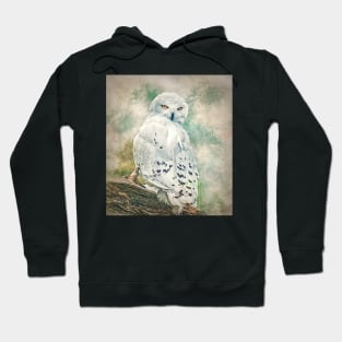 Snowy owl Hoodie